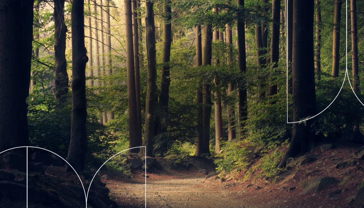 Accelerator Fund Project: New Model Building 1