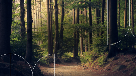 Accelerator Fund Project: New Model Building