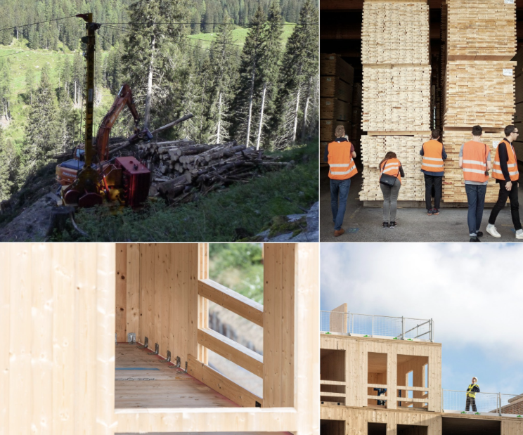 From field to factory the future of timber housing! 