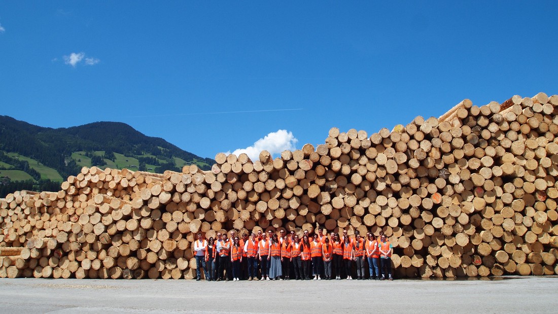 International Forest Day 2018 