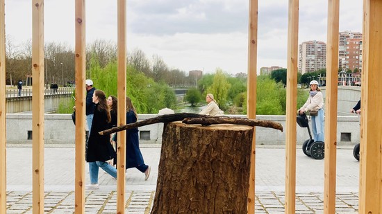 Julen shares his views on timber construction in Spain