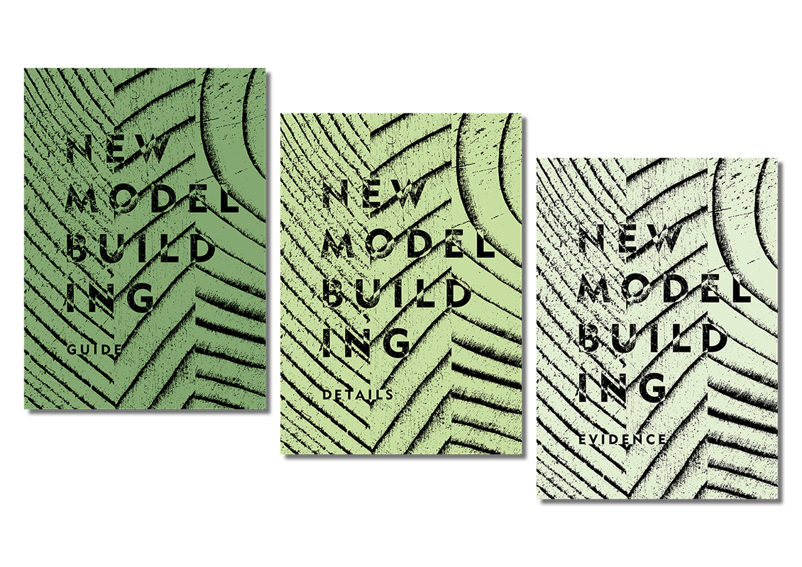 New Model Building  1