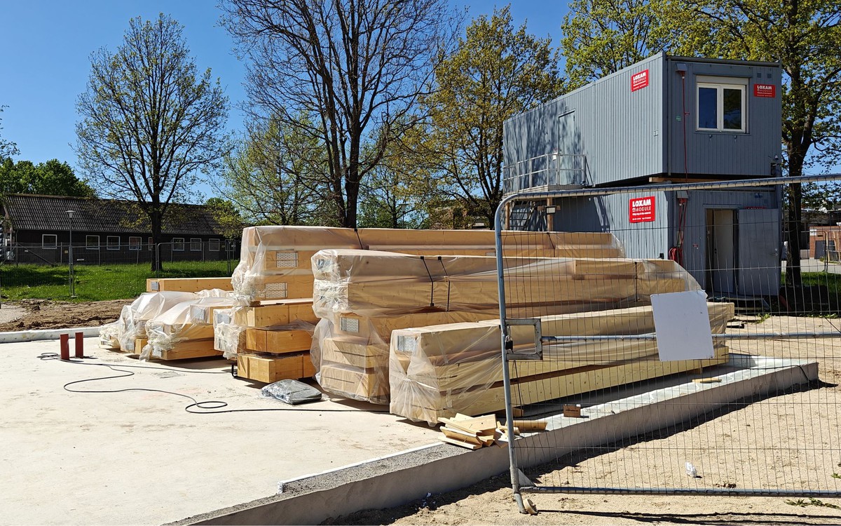 Timber arrives for Build in Wood! 2