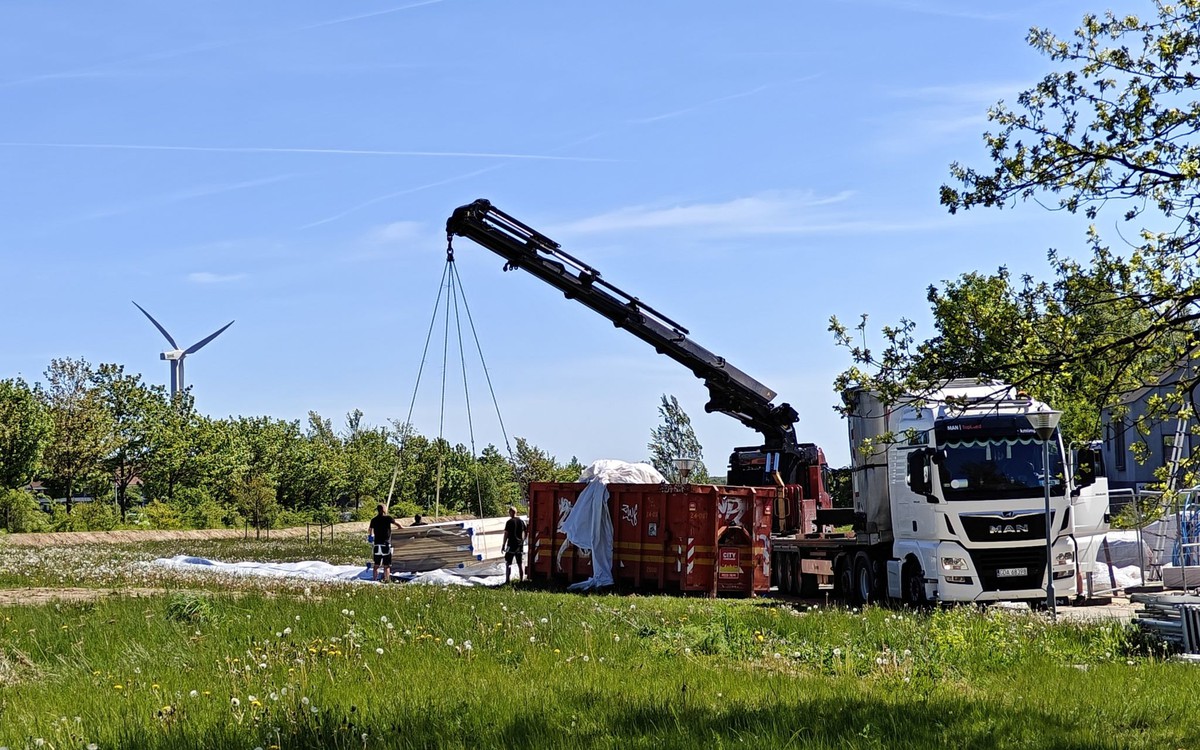 Timber arrives for Build in Wood! 1