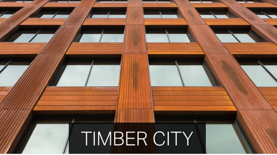 Timber City exhibition extended
