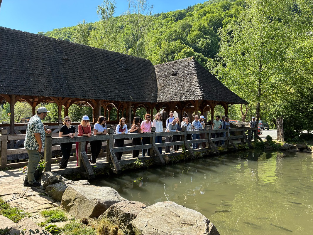 Timberhaus Consortium meets in Baia Mare  2