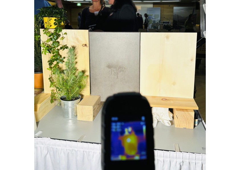 We are at Holzbau in Innsbruck 3