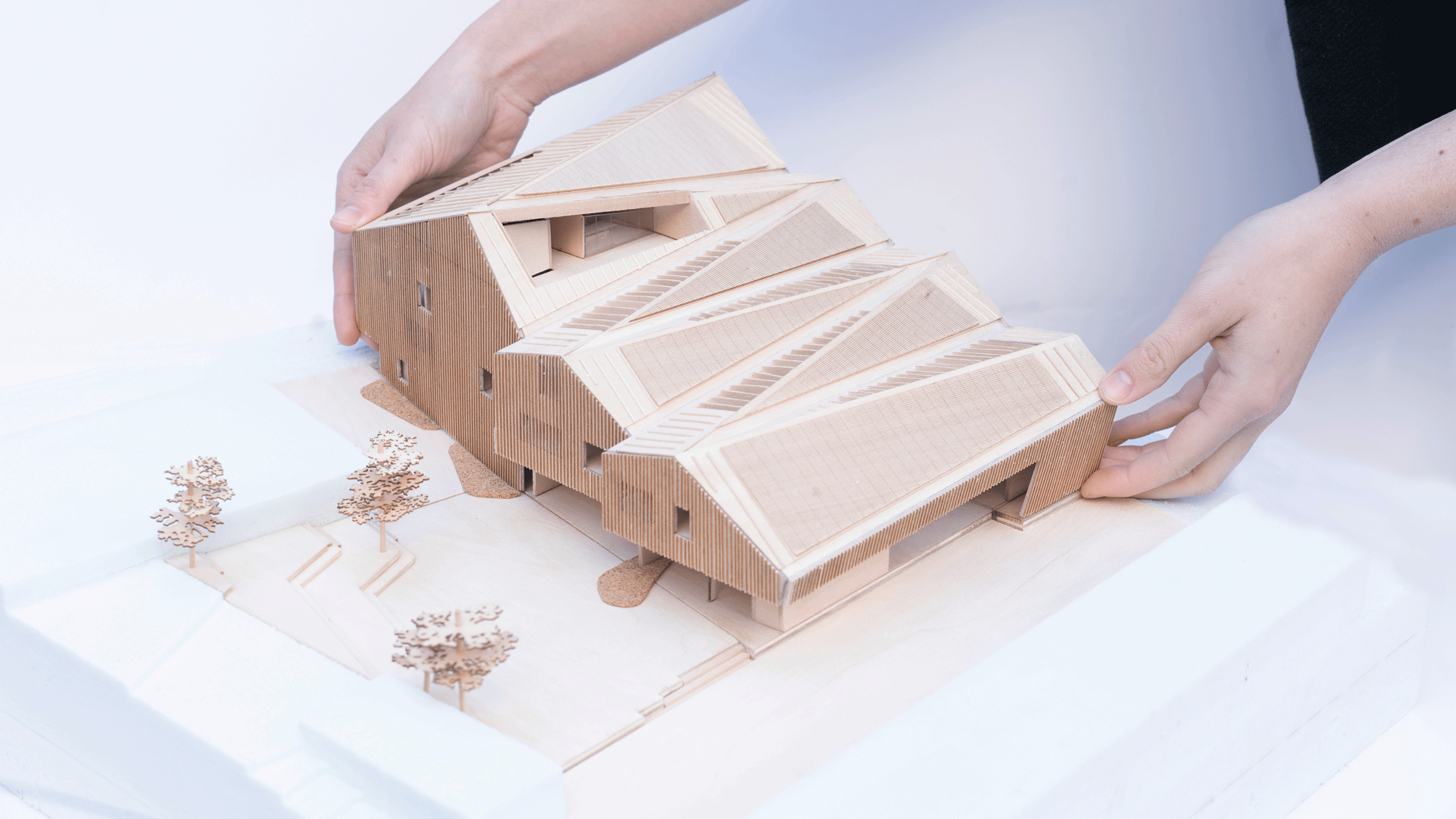 Anthony Timberlands Center 6